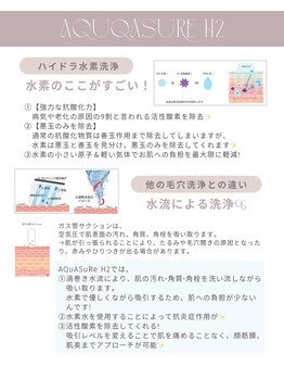 レーヴスキン(Reve Skin)/ハイドラ洗浄の特徴