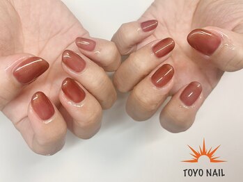 トヨネイル(TOYO NAIL)/クリアブラウンパールカラー☆