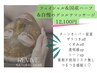 【人気】ハーブフェイシャル＆デコルテ・首・肩・肩甲骨マッサージ/12,100円