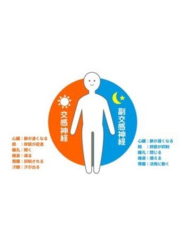 さんらいず整骨院/自律神経の乱れ