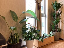 リラクゼーションイヤシ(RELAXATION IYASHI)/癒しの入り口