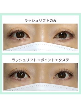 プルクラ(PULCHRA)/