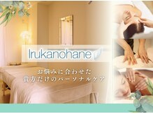 イルカの羽