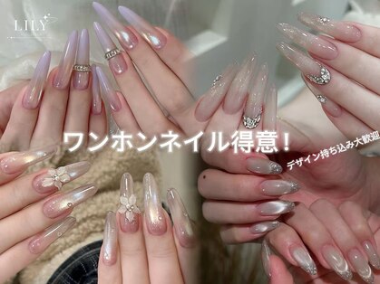 リリ(Lily)の写真