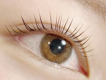 ロンド(Rond)/立ち上げデザイン