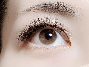 ハーゼ(Hase)/Double FlatLash