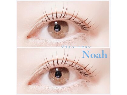 ノア(Noah)の写真