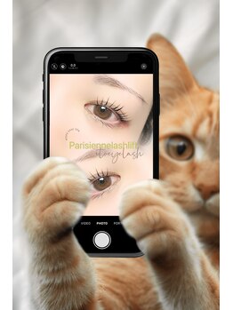 イト(ito)/パリジェンヌ 猫ちゃんを添えてw