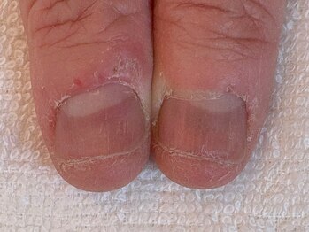 ココモ(cocomo)/育成スタートしました！