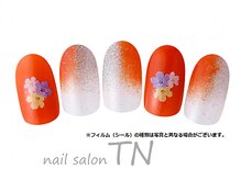 ティーエヌ 文苑堂TSUTAYA小杉町店/11月季節の定額6900円コ―ス