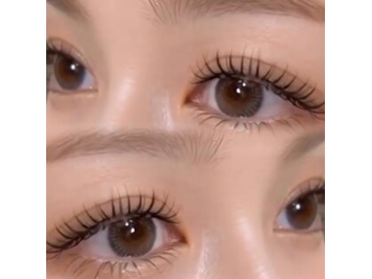 シロ(SHIRO.)の写真