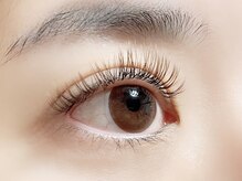 ハーゼ(Hase)/Flat Lash【Brown】120本