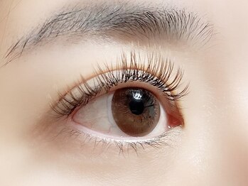 ハーゼ(Hase)/Flat Lash【Brown】120本