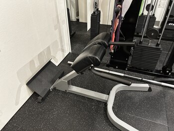 チェイスフィット(CHASE FIT)/体の背面を鍛えるマシン/札幌