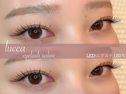 ルッカ(lucca)の写真