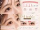 ネリネ 名古屋 栄(Nerine)の写真