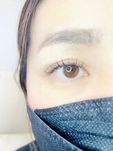 ルピナス(Lupinus)/LEDフラットラッシュ120本