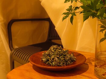 ファンタスビーイング(Fantas Being)