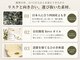 国産無農薬よもぎ蒸し もくもく新宿店【よもぎ蒸し専門店】よもぎ蒸し/よもぎ蒸しの写真