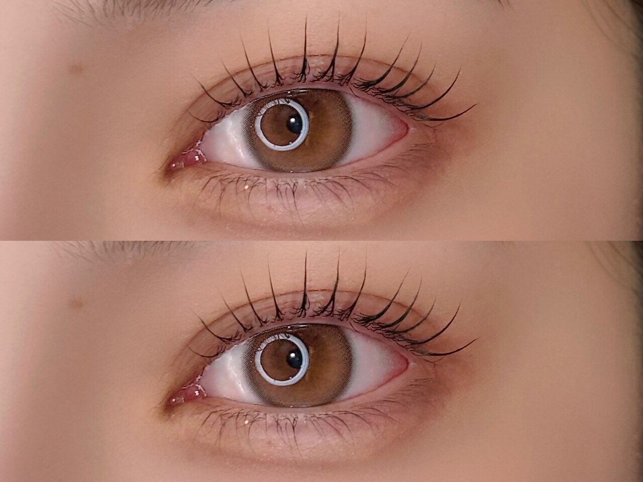 ポルテニーロクキュー ブレス(LASH&BROW PORTE269×brace