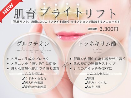 アンドアンド(&and)の写真