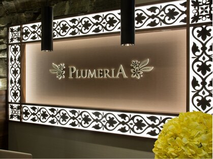 プルメリア 久留米店(PLUMERIA)の写真
