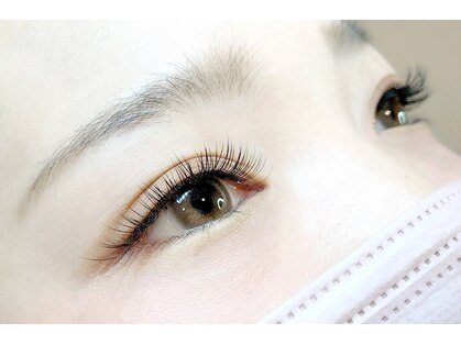 ソルテアイラッシュ(Sorte.Eyelash)の写真