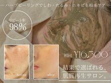 サロン ド ナデシコ(Salon de Nadeshiko)