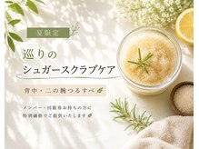 ハンナサロン(Hanna salon)の雰囲気（【夏季限定】肌に優しいシュガースクラブケア誕生！）