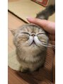 ネイルアンドアイラッシュ シシュ 高槻店(nail&eyelash SyiSyu) 猫カフェのお気に入りの子に癒やされてます、、