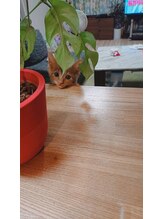 高橋整骨院鍼灸院/ギン