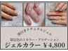 【時短ナチュラルジェルカラー】自爪に近い薄付きジェル/限定20色/ケア込み