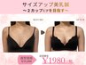 人気No.1【サイズアップ】2カップUPを目指すバストアップ美乳鍼¥19800→¥1980