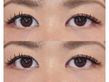 ネオリーブサイン(Neolive sign)/フラットラッシュ120本