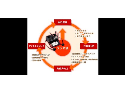 シー デ パラディ(C de)の写真