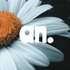 アン(an.)のお店ロゴ