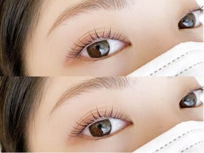 プルーム(Plume)の写真