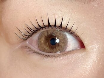 シエロアンドヒラリー/