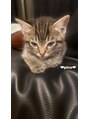 ローレルアイ 小倉店(LAUREL EYE)&nbsp;愛猫のpinoくん可愛すぎるんです(*^^*) 　 　　　　　　　　　