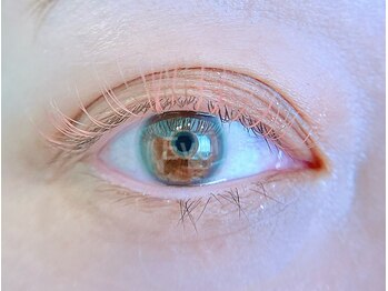 イヴ(Eve)/カラーラッシュ１２０本