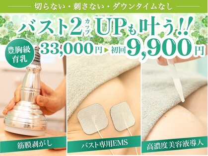 美人バスト 犬山店の写真