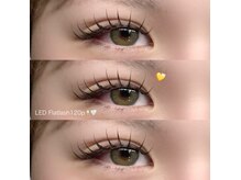 フェイン 心斎橋店(fein.)/LEDフラットラッシュ120本☆