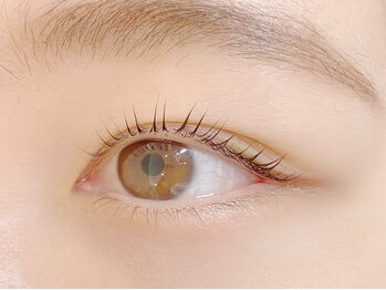 ティグル 下通店(Tigre)/パリジェンヌラッシュリフト