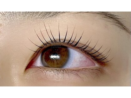 アシュレイ フォー アイラッシュ(AshRay for eyelash)の写真