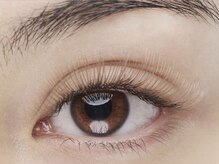 リビケイト 堀江店(Livicate)/Sheer Brown