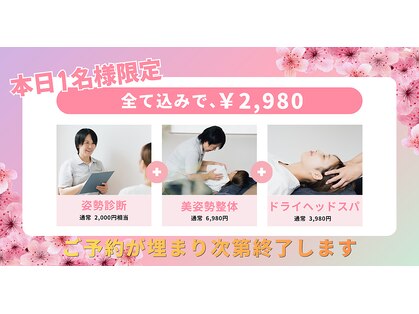 コンチ(KONCHI)の写真