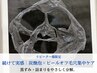 【続けて実感｜敏感肌の方へ】低刺激ケア◎やさしく整えて毛穴レスな透明肌へ