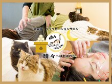 晴々