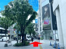 ラピス 新宿東口店(Lapis)/道案内　3