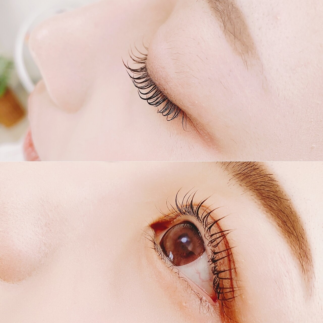 ME♡さま★ハロウィン★トリミングチョーカー100個 ME♡さま☆ハロウィン☆トリミングチョーカー100個 激かわ